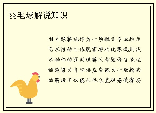 羽毛球解说知识